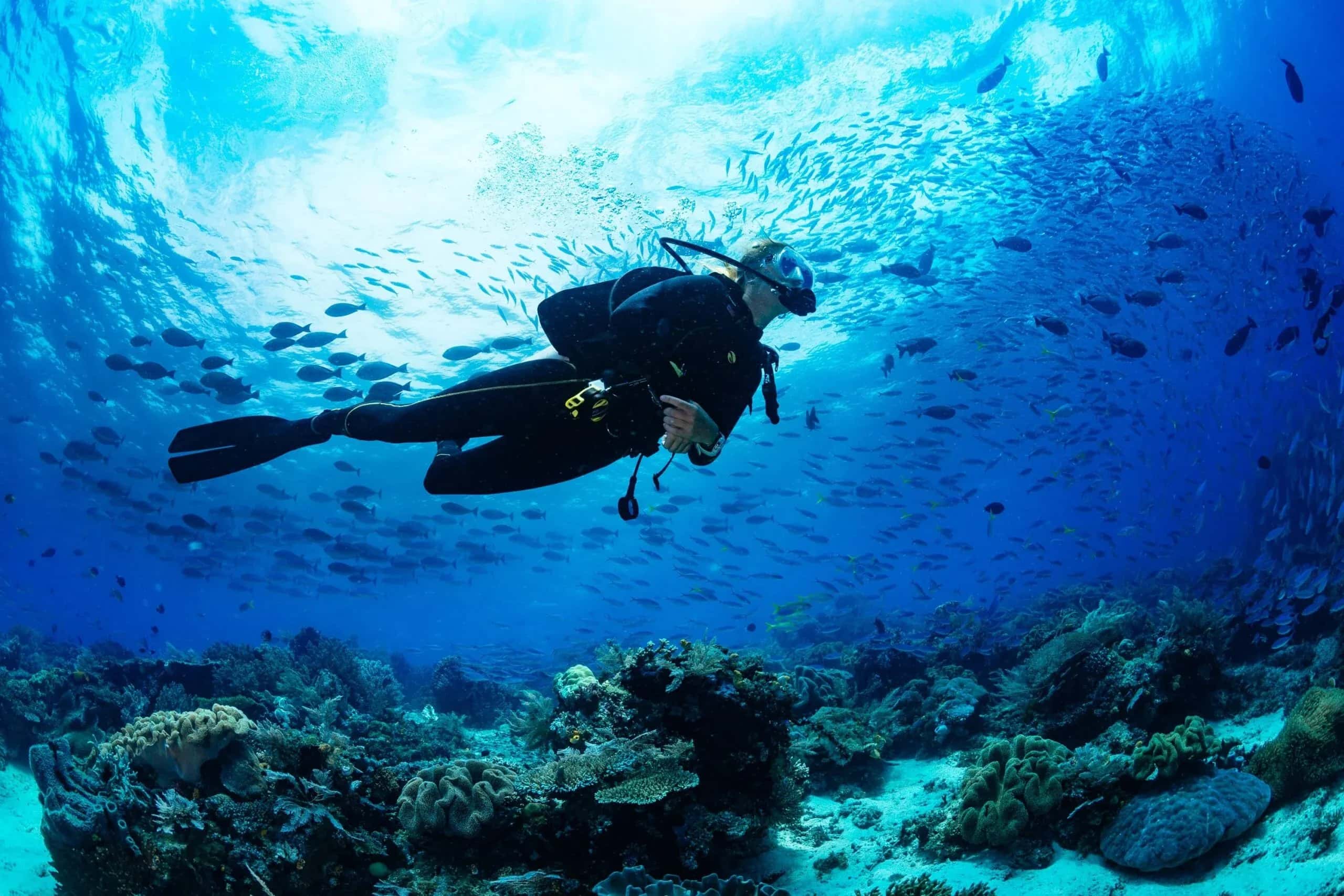 Scuba Diving Tour