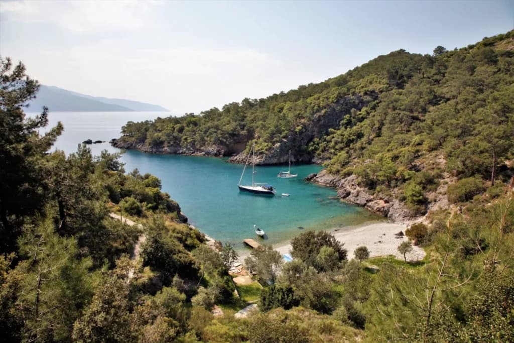 Cold Water Bay (Soğuk Su Koyu) in Fethiye – pine forest coastline and clear turquoise water