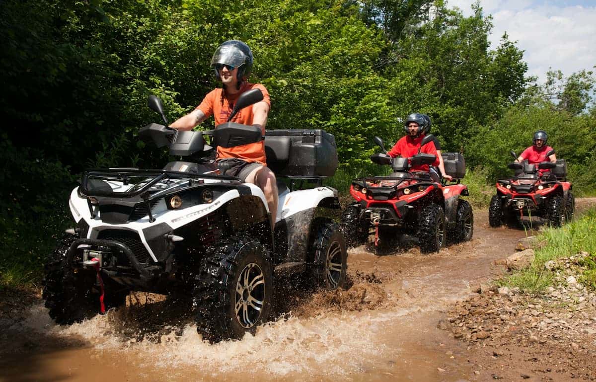 Quad Safari