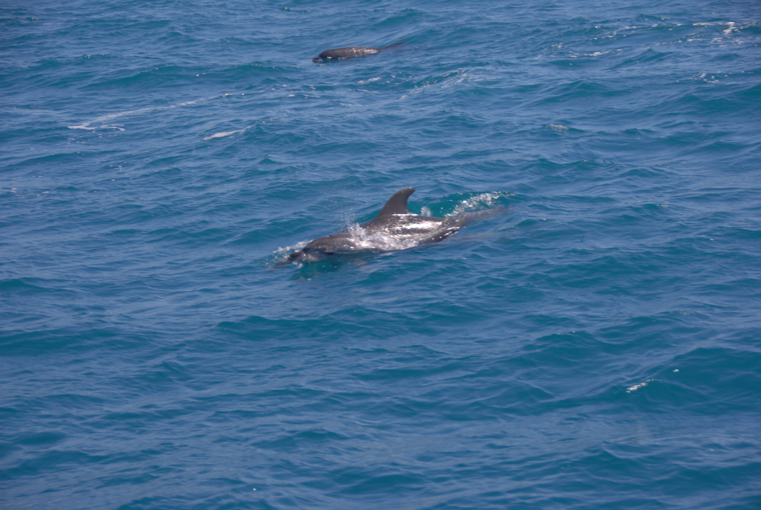 12 Islands Sailboat Tour 11 7