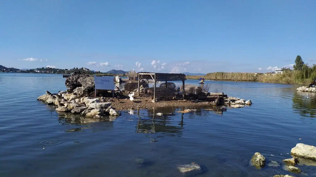 Calis Beach, Fethiye: Water, Sunset, Transport & Local Tips 5 Fethiye Bird Sanctuary wetlands area near Calis Beach